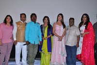 James Talent Hunt Poster Launch